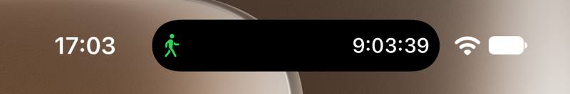The top of an iPhone Home Screen. The Dynamic Island shows a green walking figure and a running walk timer.